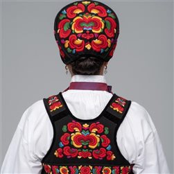 Ryggbroderi Øvre Hallingdal